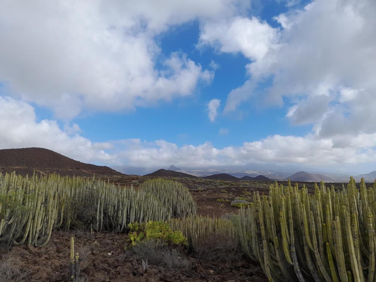 Tenerife Homestay San Miguel de Abona Kültér fotó
