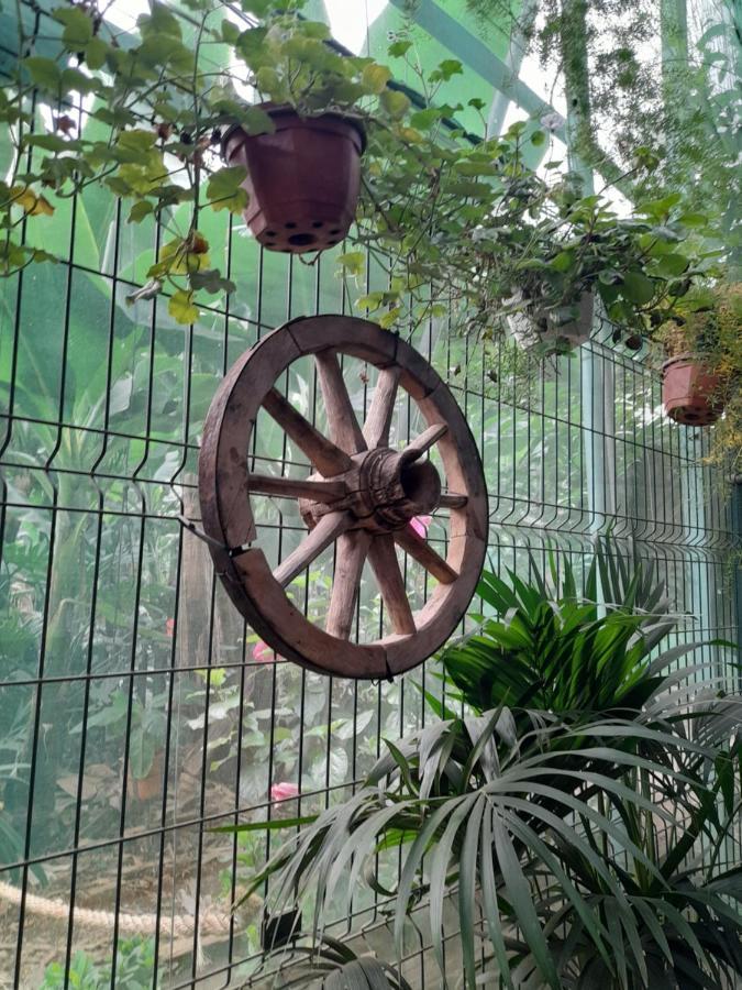 Tenerife Homestay San Miguel de Abona Kültér fotó