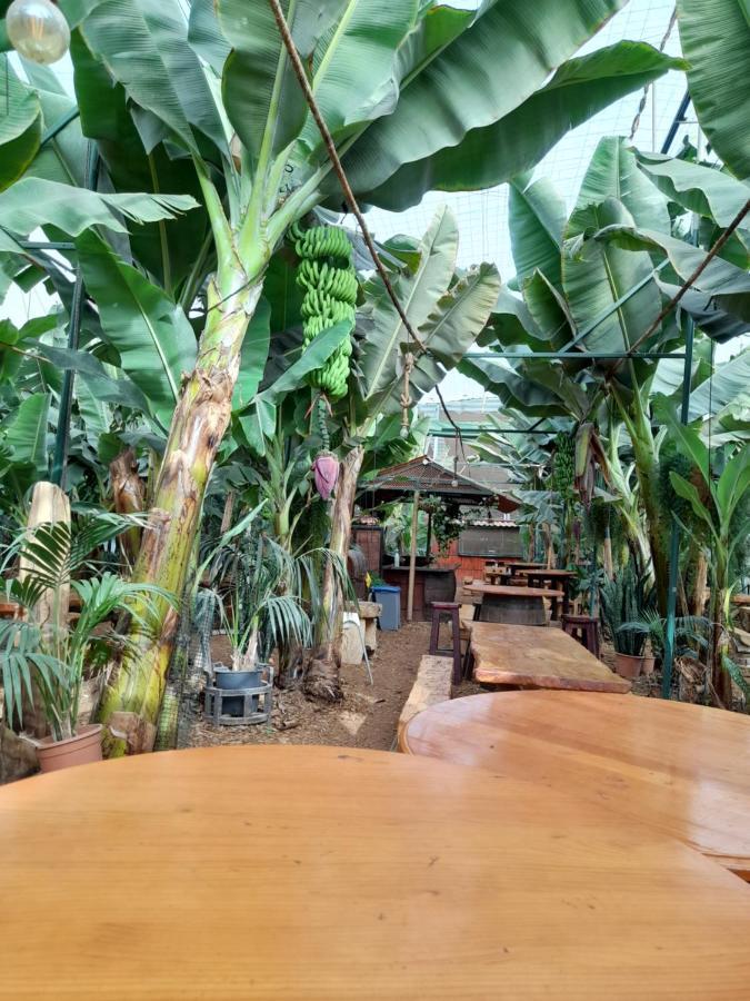 Tenerife Homestay San Miguel de Abona Kültér fotó