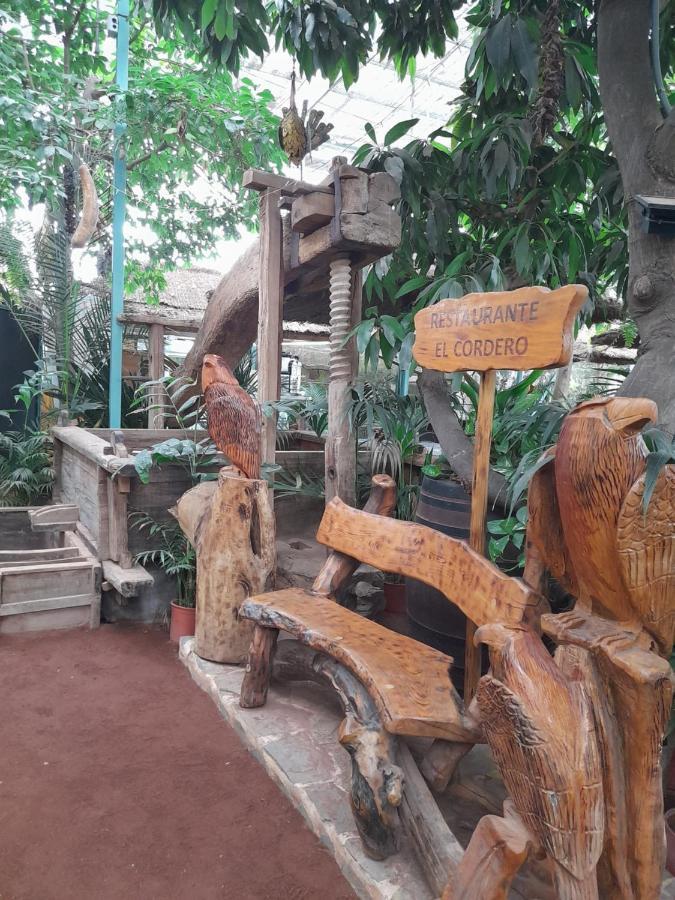 Tenerife Homestay San Miguel de Abona Kültér fotó