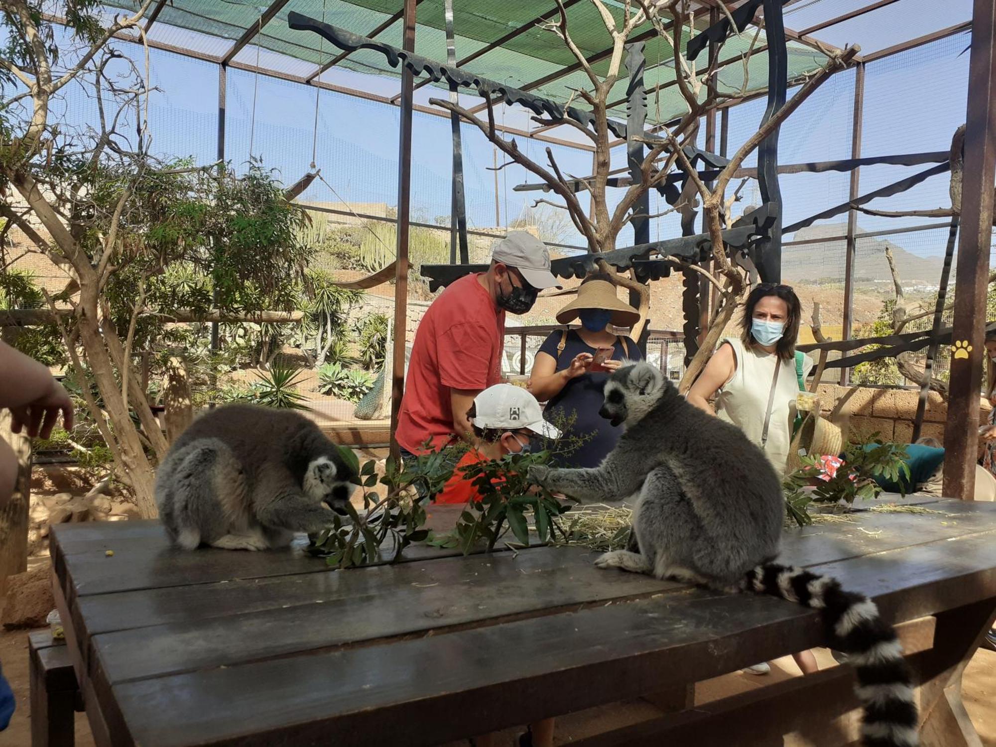 Tenerife Homestay San Miguel de Abona Szoba fotó